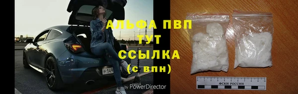 спиды Алзамай