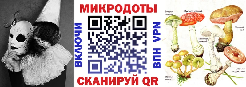 Галлюциногенные грибы Magic Shrooms  Рубцовск 